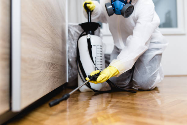 Best Bed Bug Extermination  in Cocoa Beach, FL
