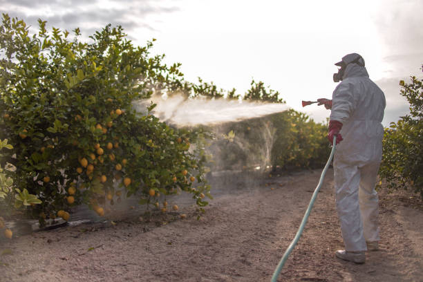 Best Affordable Pest Control Services  in Cocoa Beach, FL