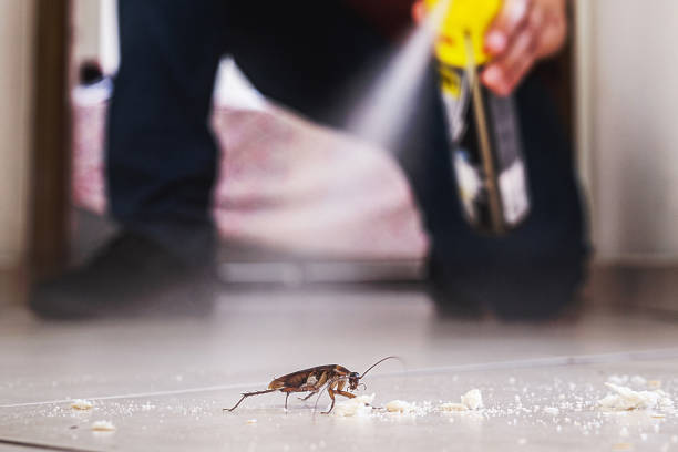  Cocoa Beach, FL Pest Control Pros