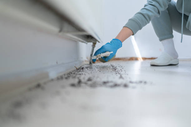 Wildlife Control Services in Cocoa Beach, FL